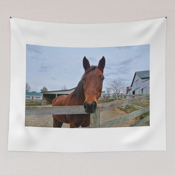 Item preview, Horse Feathers  designed and sold by Lanis Rossi.