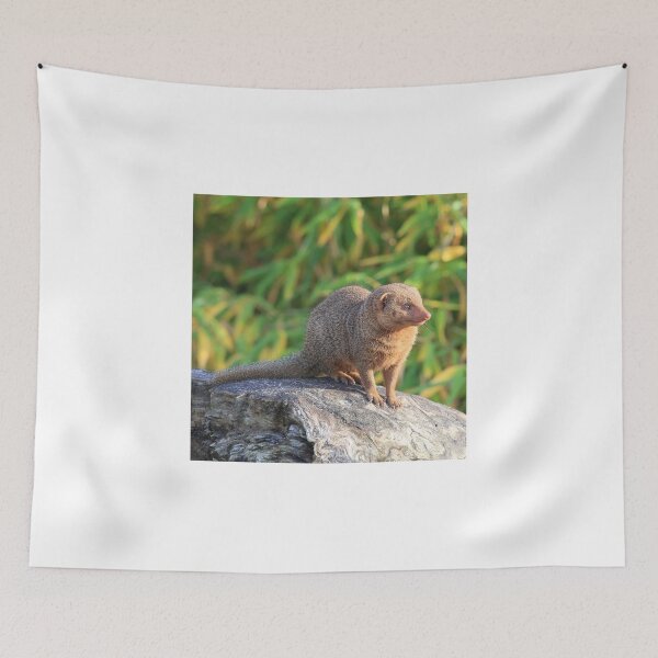 Item preview, Common Dwarf Mongoose designed and sold by Maria Gaellman.