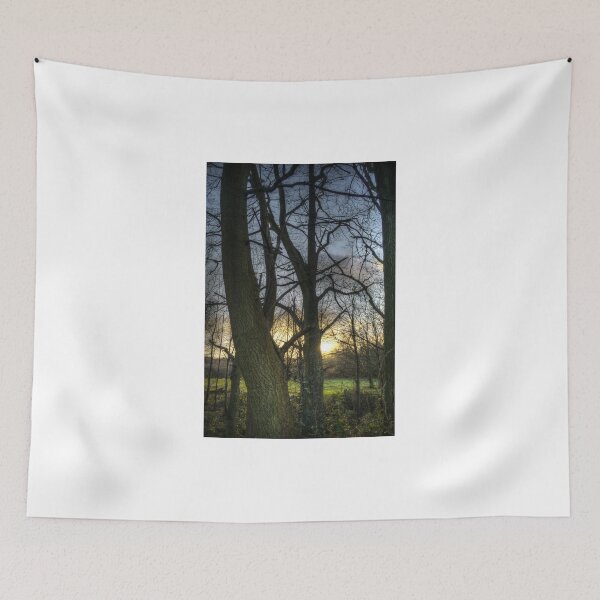 Item preview, Sunlight through the trees designed and sold by Ms-Bexy.