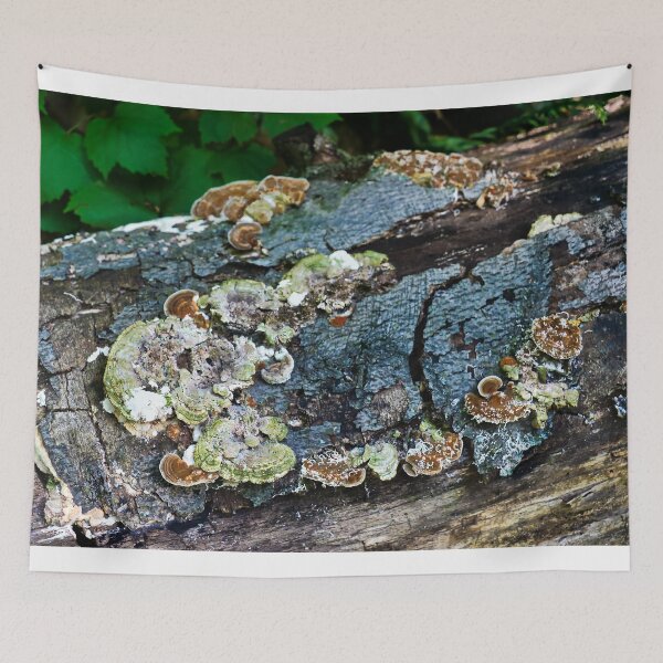 Item preview, Infected Tree Stump designed and sold by ADM  Photography.
