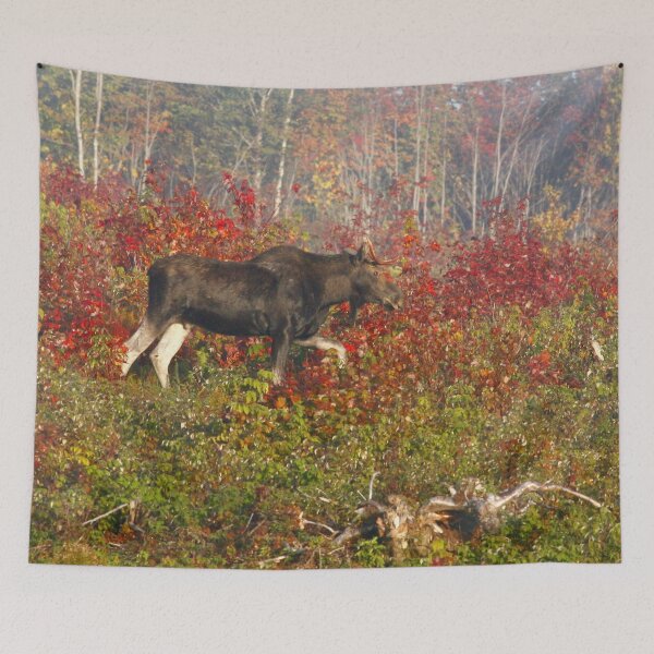 Item preview, Maine Bull Moose  designed and sold by Enola Gay Wagner.
