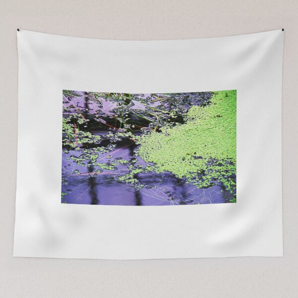 Item preview, Algaes In The Pond designed and sold by Mezei József Tibor.