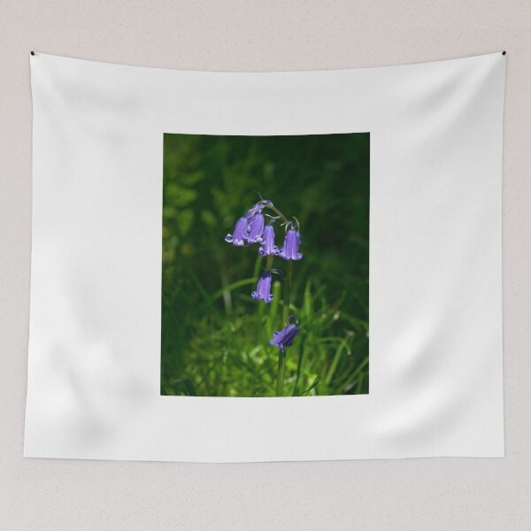 Item preview, Bluebells in Sussex Countryside designed and sold by Sue Robinson.
