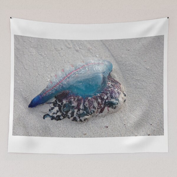 Item preview, Portuguese Man o' War designed and sold by WorldDesign.