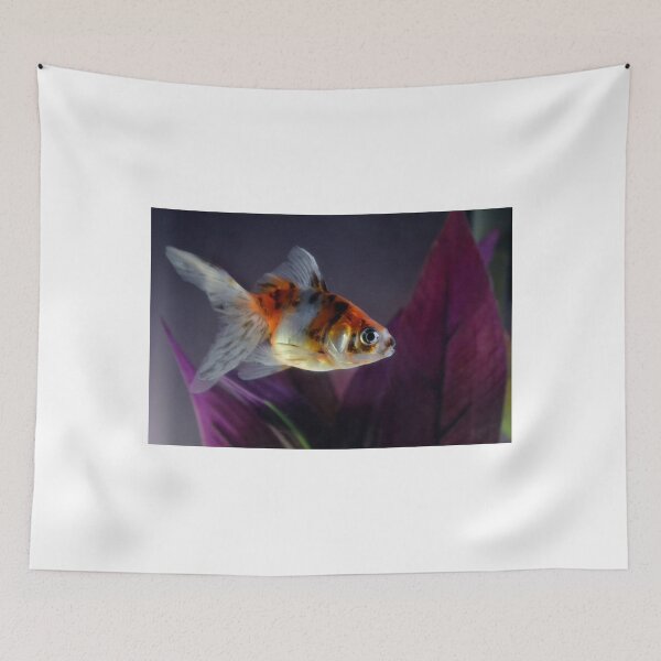Item preview, Fish designed and sold by Zoe Wandin.