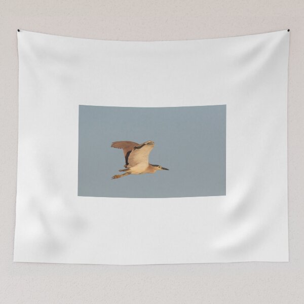 Item preview, Sunset Night-heron designed and sold by byronbackyard.