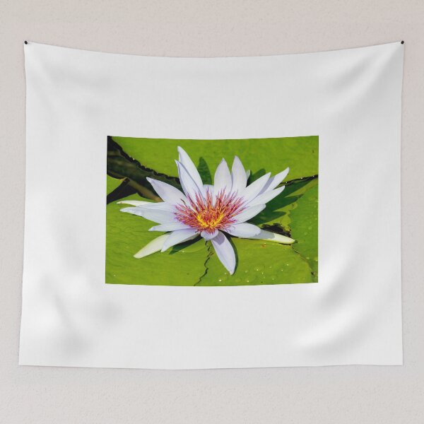 Item preview, Fire Water Lily designed and sold by PhilipBrown.