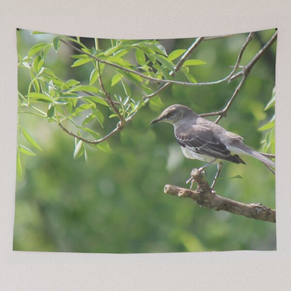 Item preview, Singer designed and sold by Bob Hardy.