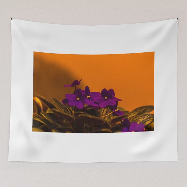 Aperçu de l'œuvre African Violet créée et vendue par Calazones-Flics.