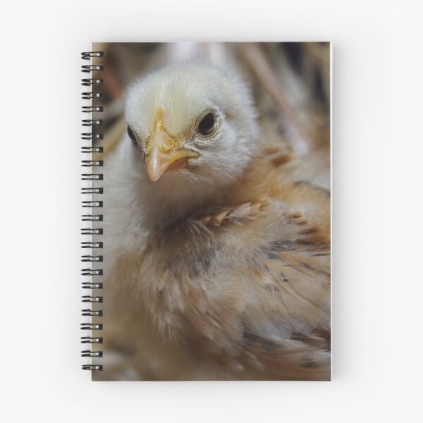 Item preview, Hot Chick designed and sold by Heather Haderly.