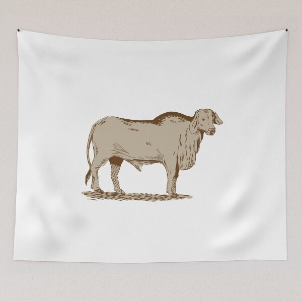 Item preview, Brahman Bull Drawing designed and sold by patrimonio.