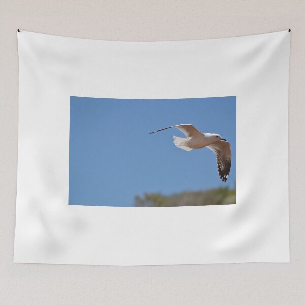 Item preview, Seagull flying designed and sold by Zoe Wandin.