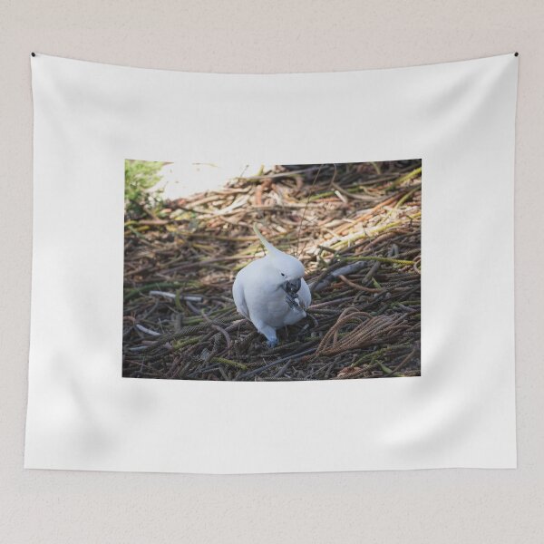 Item preview, Sulphur-crested cockatoo loving his pine nuts! designed and sold by RGKphotos.