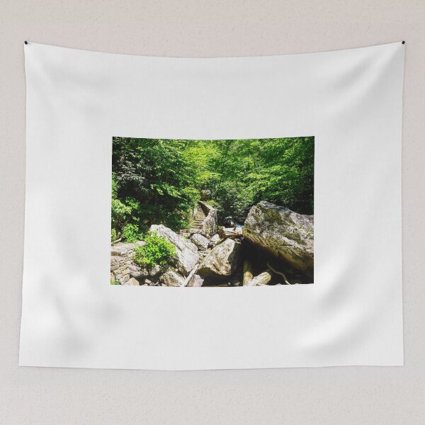 Item preview, A Climb In The Woods  designed and sold by Paul Lubaczewski.