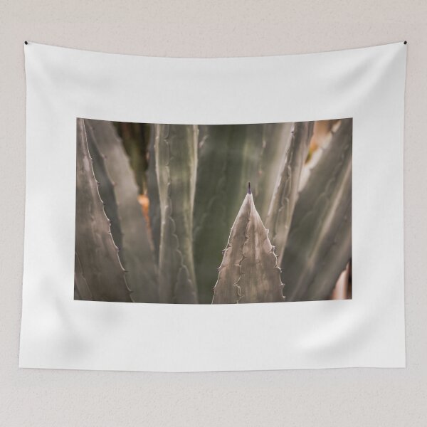 Aperçu de l'œuvre Agave americana créée et vendue par Calazones-Flics.