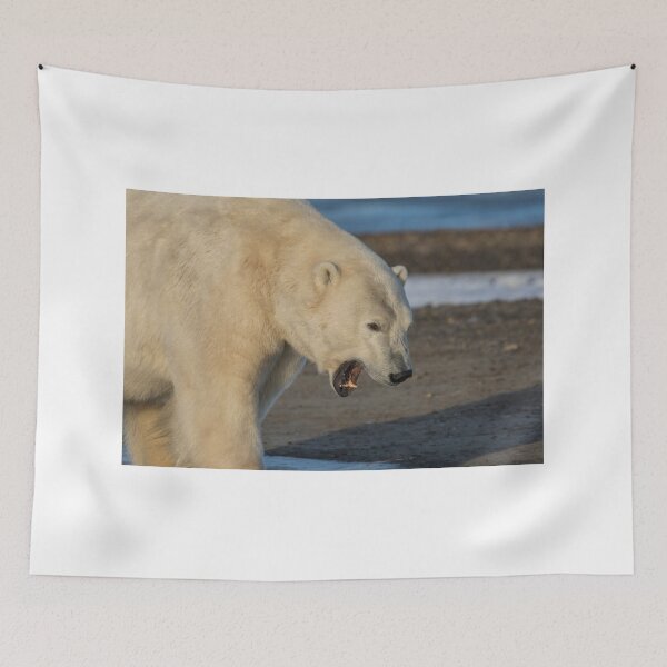 Item preview, STOCK ~ Polar Bear #3 - Yawning designed and sold by akaurora.