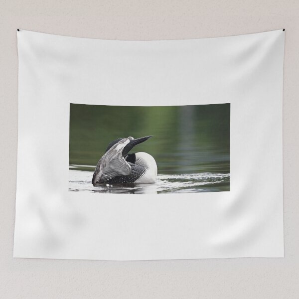 Item preview, Hide n' seek - Common loon designed and sold by James Cumming.