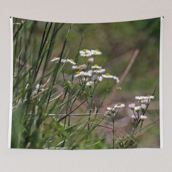 Item preview, Mountain Daisies designed and sold by Bob Hardy.
