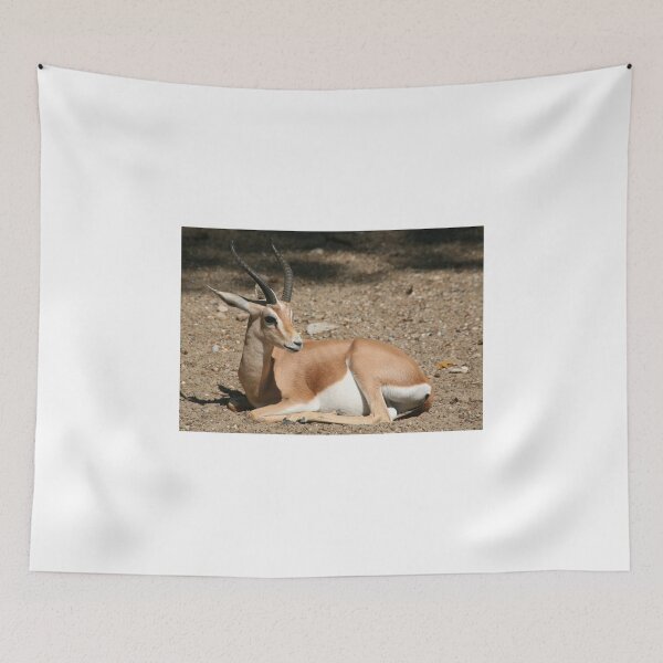 Item preview, Gazelle 2679cr designed and sold by Kenshots.