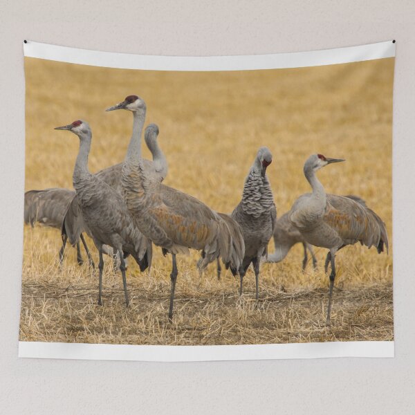 Item preview, Hang'en With Red Heads designed and sold by Gary Benson.