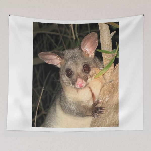 Item preview, Brush Tailed Possum designed and sold by Jenny Brice.