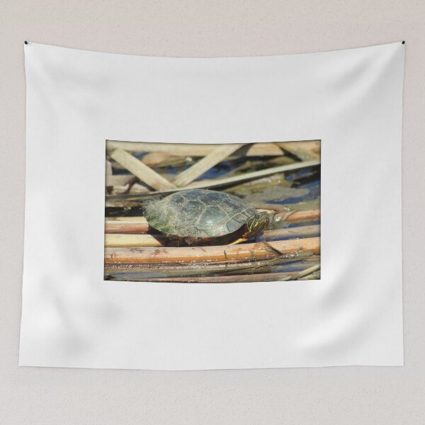 Item preview, Mr.Turtle designed and sold by anitahiltz.