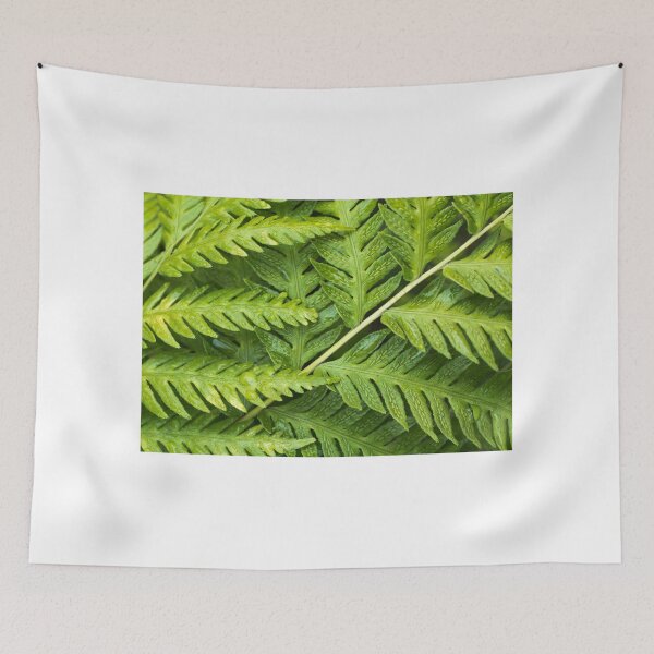 Item preview, Fern Pattern designed and sold by Colleen Farrell.