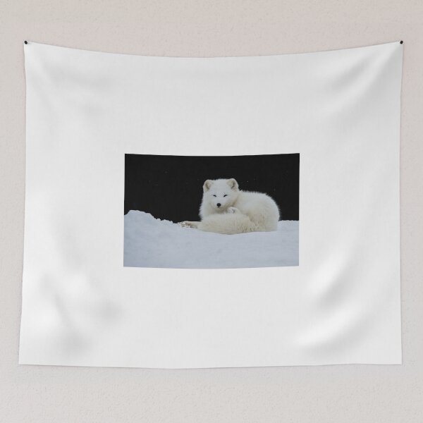 Item preview, Arctic Fox designed and sold by (Tallow) Dave  Van de Laar.