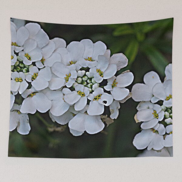Item preview, White Perfection designed and sold by Paul Chubb.
