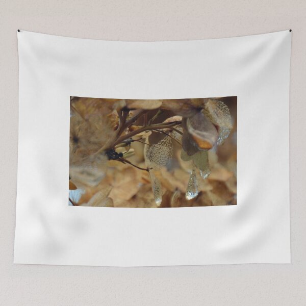 Item preview, Withered Hydrangea designed and sold by lynn carter.