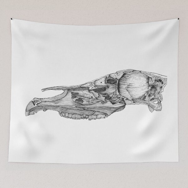 Item preview, Woodcut Horse Skull designed and sold by jcaillustration.