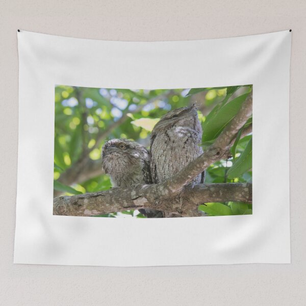 Item preview, Curious  designed and sold by byronbackyard.