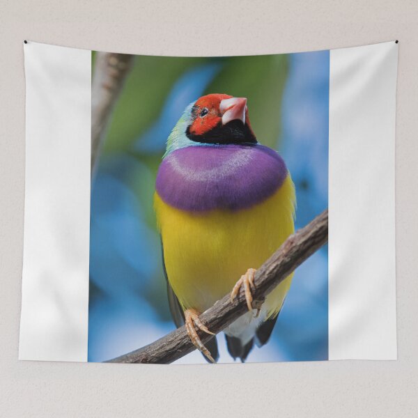 Item preview, Gouldian Finch designed and sold by WorldDesign.