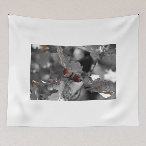 Item preview, Acorns designed and sold by Mezei József Tibor.