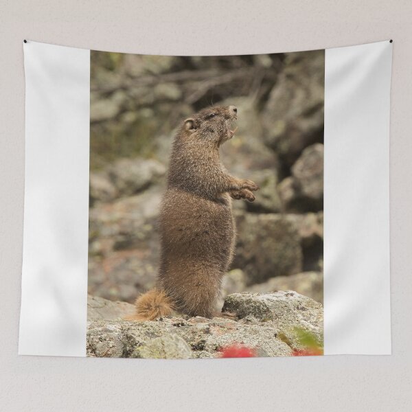 Item preview, Marmot Alert designed and sold by WorldDesign.