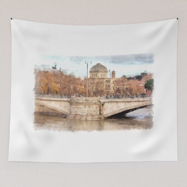 Item preview, Rome: Tiber River bridge and Synagogue designed and sold by Giuseppe Cocco.