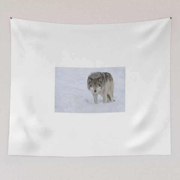 Item preview, Gray Wolf designed and sold by (Tallow) Dave  Van de Laar.
