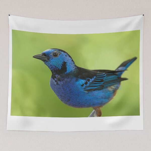 Item preview, Opal-rumped Tanager designed and sold by WorldDesign.