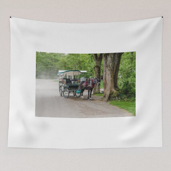Item preview, Escena de Kerry designed and sold by Martina Fagan.