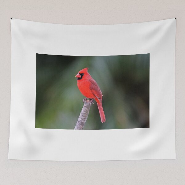 Item preview, Northern Cardinal designed and sold by Heidi Ingram.