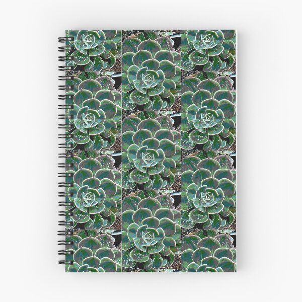 Item preview, Succulent #1 designed and sold by saqqaraart.