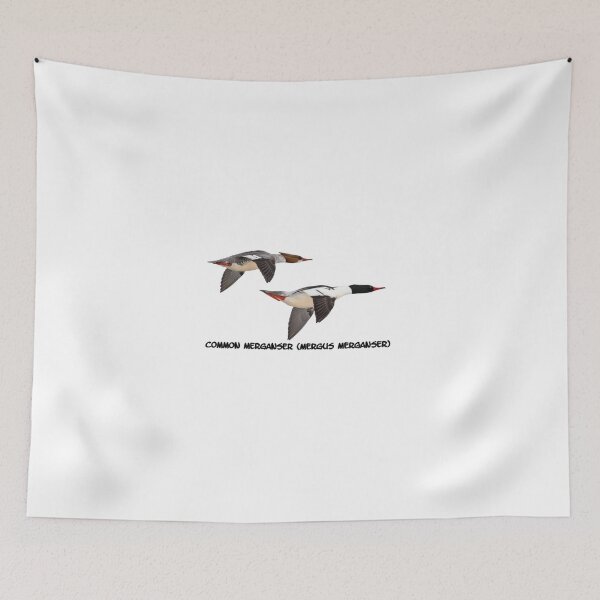 Item preview, Common Mergansers  Isolated 2014-1 designed and sold by Thomasyoung.