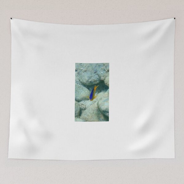 Item preview, Little Fish in a Big Sea designed and sold by cammisacam.