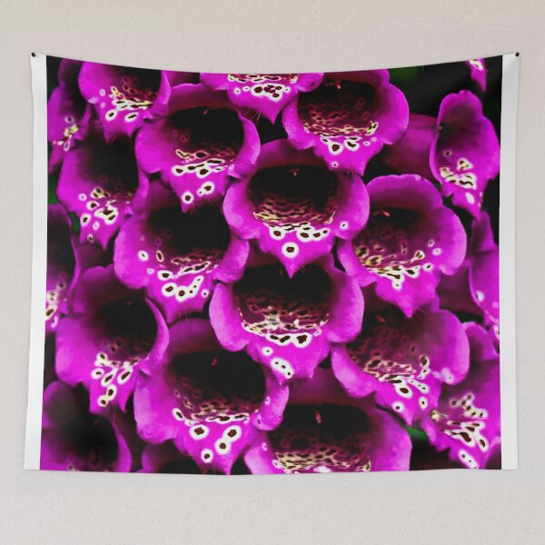 Item preview, Close-up Foxgloves designed and sold by ADM  Photography.
