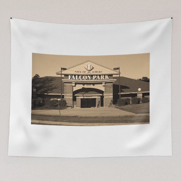 Item preview, Auburn, NY - Falcon Park designed and sold by Frank Romeo.