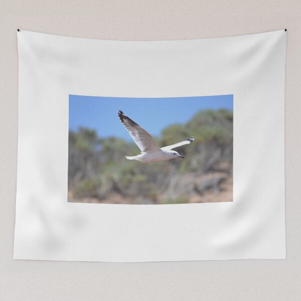 Item preview, Seagull flying 2 designed and sold by Zoe Wandin.