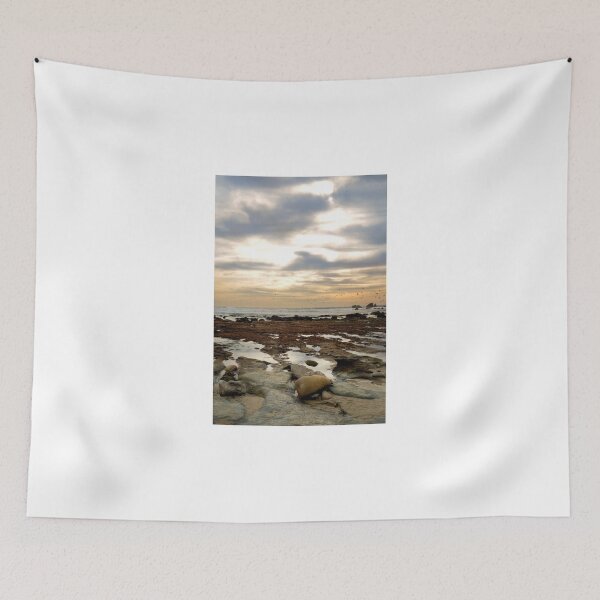 Item preview, Reflecting Tide Pools designed and sold by K D Graves Photography.