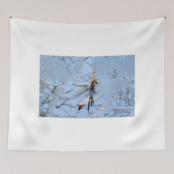 Item preview, Frozen in Ice..........Somerset UK designed and sold by lynn carter.