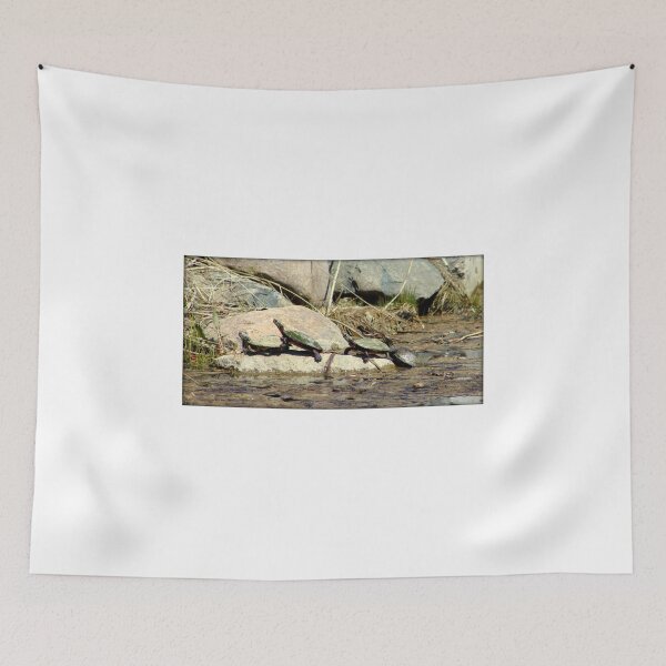Item preview, Four Turtles and a Frog designed and sold by anitahiltz.