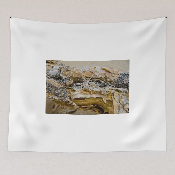 Item preview, Anza Borrego Ocotillo 4 designed and sold by AnkhaDesh.
